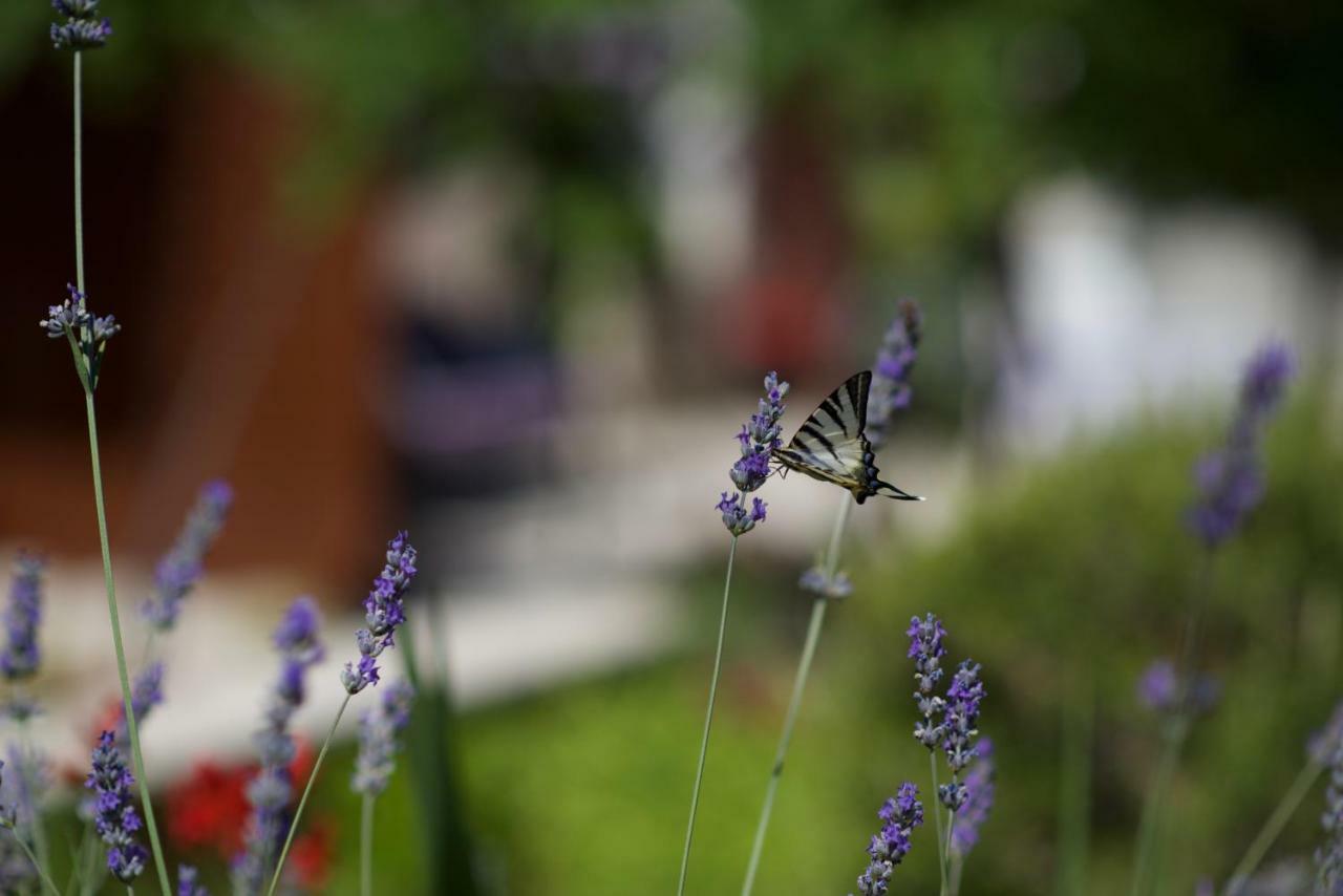 Apartmani Loreta Mali Lošinj Buitenkant foto